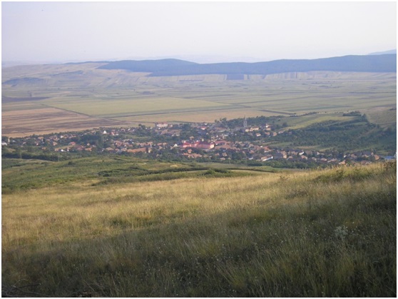 Comuna Cricău